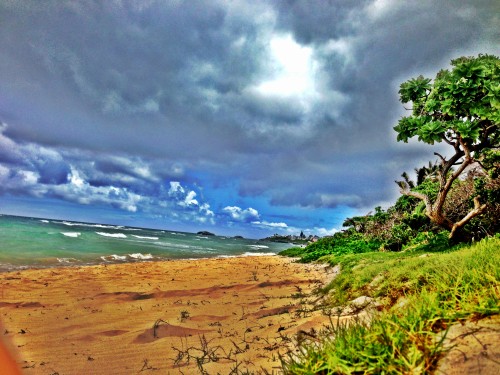 It was overcast, but the beach was beautiful in La'ie on the north shore of O'ahu.